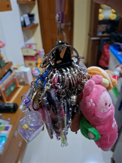 My Growing Keychain Collection Journey