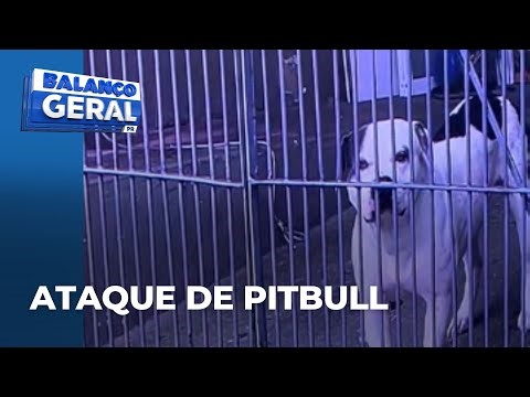 Cães Pitbull atacam e deixam mulher gravemente ferida; vítima segue hospitalizada