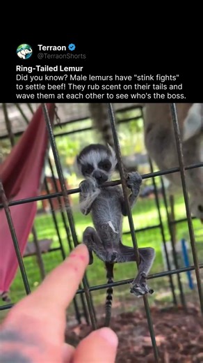 He’s actually so tiny... 🥺