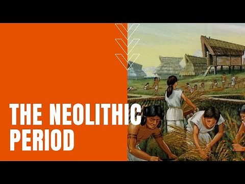 Neolithic Period of Societal Progress in Human History