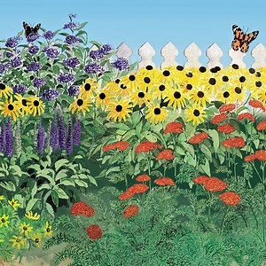 Butterfly Paradise Pre-Planned Cottage Garden | Nectar Waystation