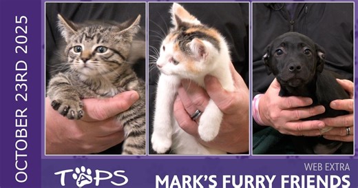 Mark’s Furry Friends:10/23/25 | Harry, Honey, and Frederick Schiller| Mark's Furry Friends Extra Season 3 Episode 31
