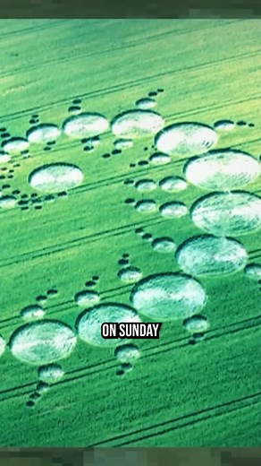 Crop Circles: Maps or Machines? | The Why Files