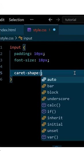 Day 66/100 CSS Series | CSS caret-shape Property 🖊️ (Customize Your Text Cursor — A Hidden CSS Gem!)