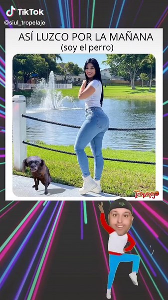 Best Cuban Comedy Memes and Jokes Compilation