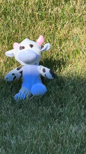 894K views · 59K reactions | Seven hours later #normalizenormalhouses #normalizethemess | Emily Feret | Facebook