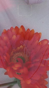 Las plataformas Lift son todo lo que tu outfit necesita. 💐 | CONVERSE