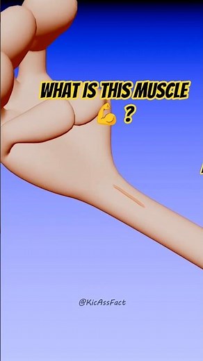 14% of Humans Are Missing This Muscle—Here's Why #shorts #animation