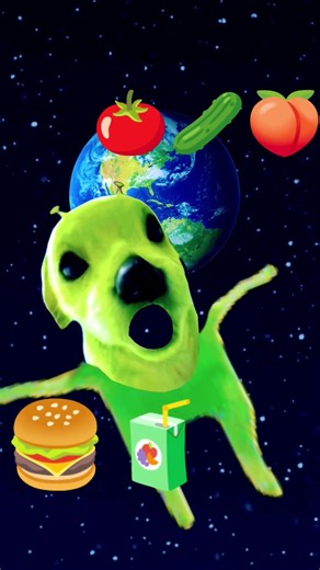 Alien Dog funny video 😂😂😂#aliendog