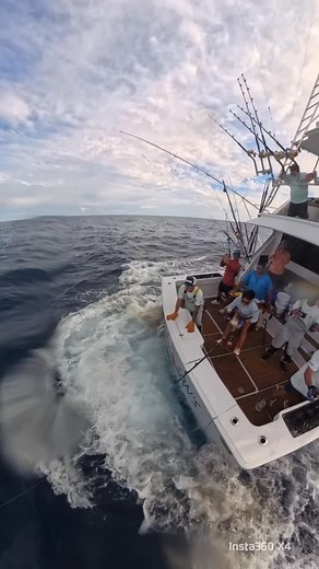 Rising Sons going 2/2 on blues this Saturday afternoon in the @lgcbc 🔥🔥 #welcometothejungle #risingsons #bluemarlin | Rising Sons