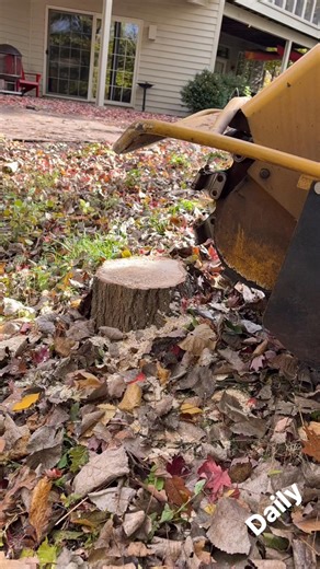 Stump grinding in action! #stumpremoval #treeservice #work | Dayton's Stump Solution