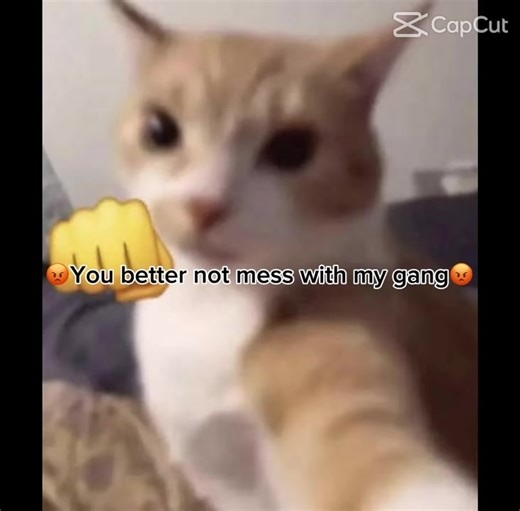 SBZ (@sbz4607)’s videos with original sound - SBZ