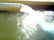 20 shares | National bio gas program (Punjab) Pakistan Program...