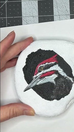 Realistic Pileated Woodpecker Painted Rock | Wildlife Rock Painting Tutorial #PileatedWoodpecker