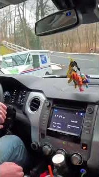 This IS The Weirdest CRAIGSLIST JOB!