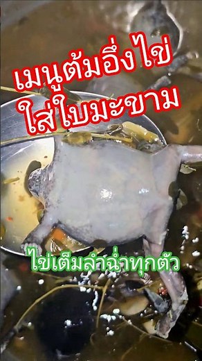 Egg-Filled Bullfrog Soup with Young Tamarind Leaves BY NONPOR CHANNEL