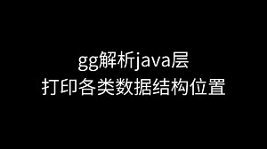 [GG修改器]解析Java层：打印各类数据结构位置