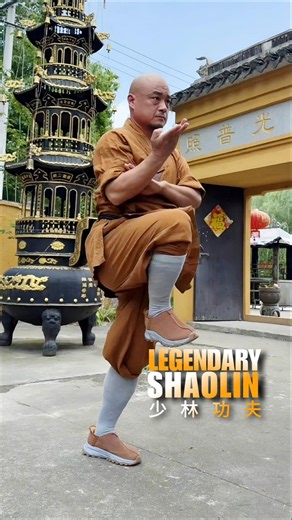 Shaolin Kung Fu ☯️ Power Forged Over Centuries (少林功夫)