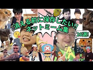 【ﾈｯﾄﾐｰﾑまとめ】消える前に保存したいﾈｯﾄﾐｰﾑ集!! 26選!