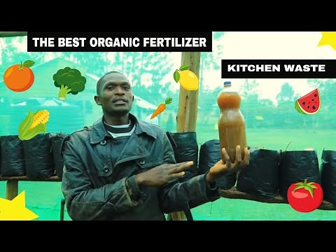 HOW TO MAKE ORGANIC LIQUID FERTILIZER FROM KITCHEN WASTE