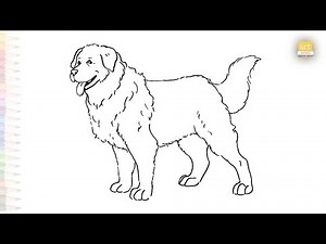Great Pyrenees dog drawings | Art tutorial | How to draw A Great Pyrenees step by step #artjanag