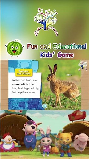 🐰💨 Rabbit vs. Hare! | Short Ears or Giant Leaps? | Animal Safari 🥕✨