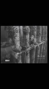 51K views · 1.2K reactions | Commercial diver AtWork in the deep.. | Therussian | Facebook