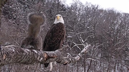 Wrong turn. Please help with description. | explore.org