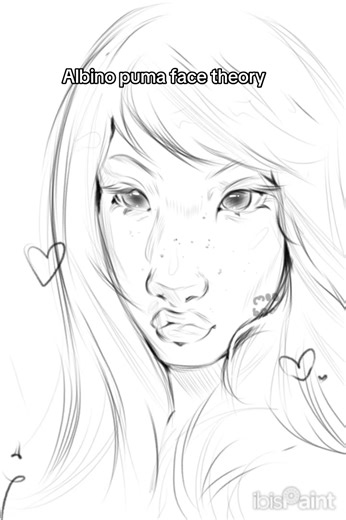 Puma Face Theory: Albino or Original?