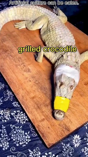 Alligator Cooking Tutorial: Recipe and Preparation Guide