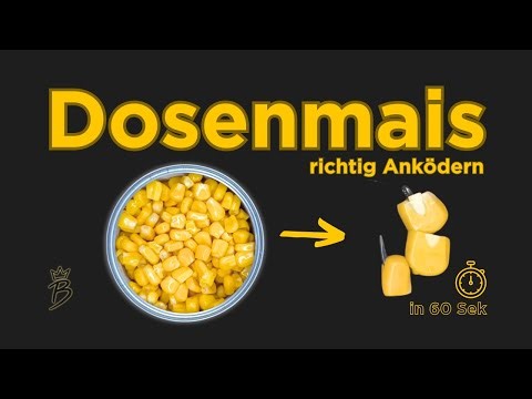 Dosenmais als Angelköder? – Anködern und Maisunterschiede erklärt