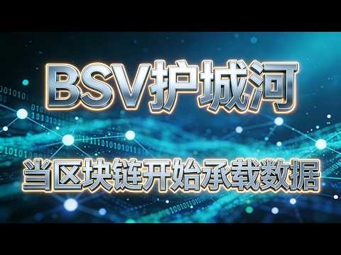 【035】BSV 护城河（二）：当区块链开始承载数据（BSV 11）