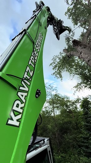 Expert Tree Work Done Right in Chautauqua County