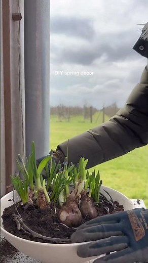 Easy spring DIY: Create your own blooming centrepiece!