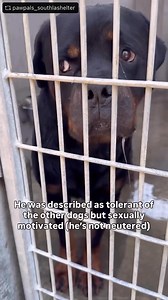 25K views · 1K reactions | We are very sad to report that blue did...