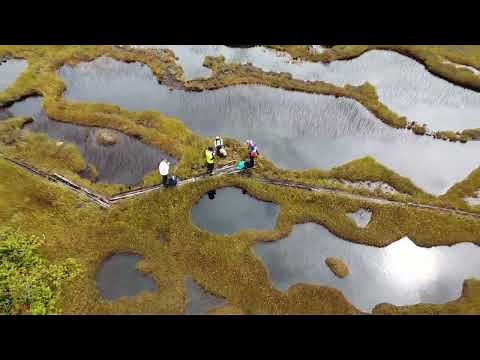 小松原湿原トレッキングツアー2022秋【新潟県十日町市】