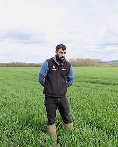 Matt Fuller, Arable & Trials Manager at Heathcote Farms, planted KWS Vibe (Group 1) & KWS Equipe (Group 2) in 2023 to see how they would stack up against older milling varieties now struggling with disease. We tracked their progress throughout the season!🎥 🔗 Watch the full video here: https://ow.ly/UTc250Wu48e | KWS UK