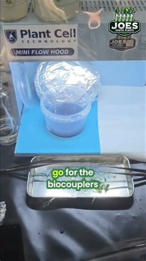 Plant Observation and Biocoupler Work #shorts