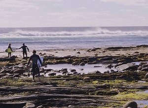 7.7K views · 270 reactions | Navigating through Nova Scotia. 'The...