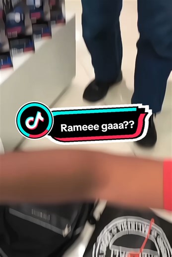 Exploring the World of Miniature Buses