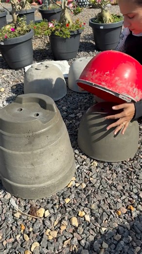 Já tem aqui no perfil de como fazer vasos assim lisinhos e leves usando isopor na massa de cimento 🩶🪴💕@superfãs #vasodeisopor | Artes&Flores da Pri Rodrigues