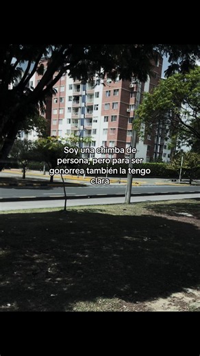 Soy una chimba de persona pero para ser gonorrea también la tengo clara