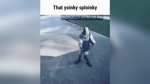 That Yoinky Sploinky | Know Your Meme