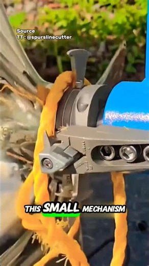 Mekanisme Kecil Ini Mencegah Masalah yang Jauh Lebih Besar