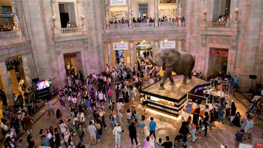 Enjoy late-night museum hours and live music at the Smithsonian's Solstice Saturday