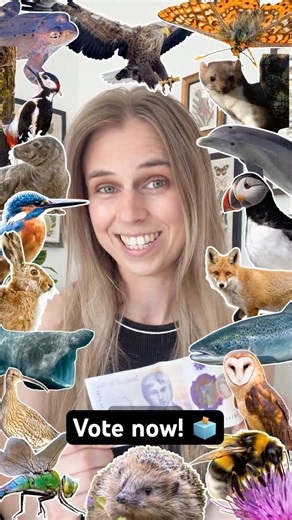 Our bank notes are changing!