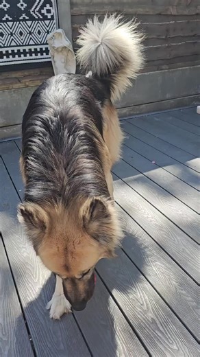 Julia Carr (@julia.carr55)’s videos with original sound - Julia Carr