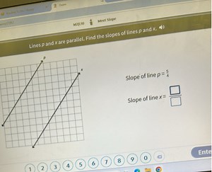 Zearnwers/ 2382M2|L10 MeetSlopeLines p and x are parallel. ... | Filo