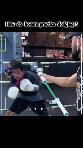 Boxers Techniques for Effective Dodging Practice
