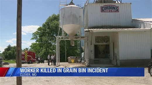 Man dies after sinking in grain bin in Clever, Mo.